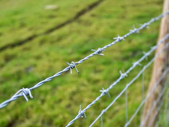 barbed wire fence