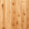 Cedar