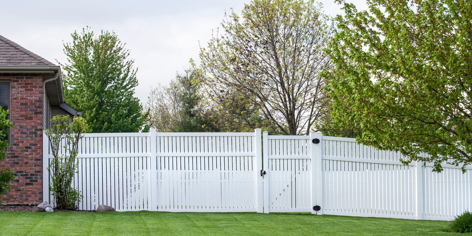 What's The Best Fence Type For Dogs? King's Fence Company