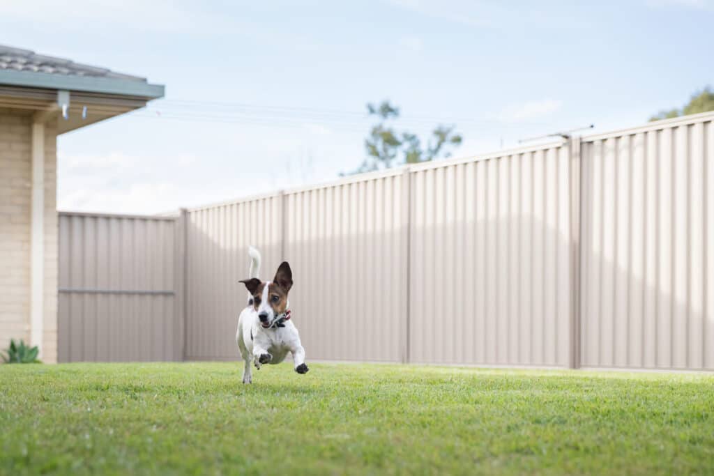 vinyl vs aluminum fence for dogs