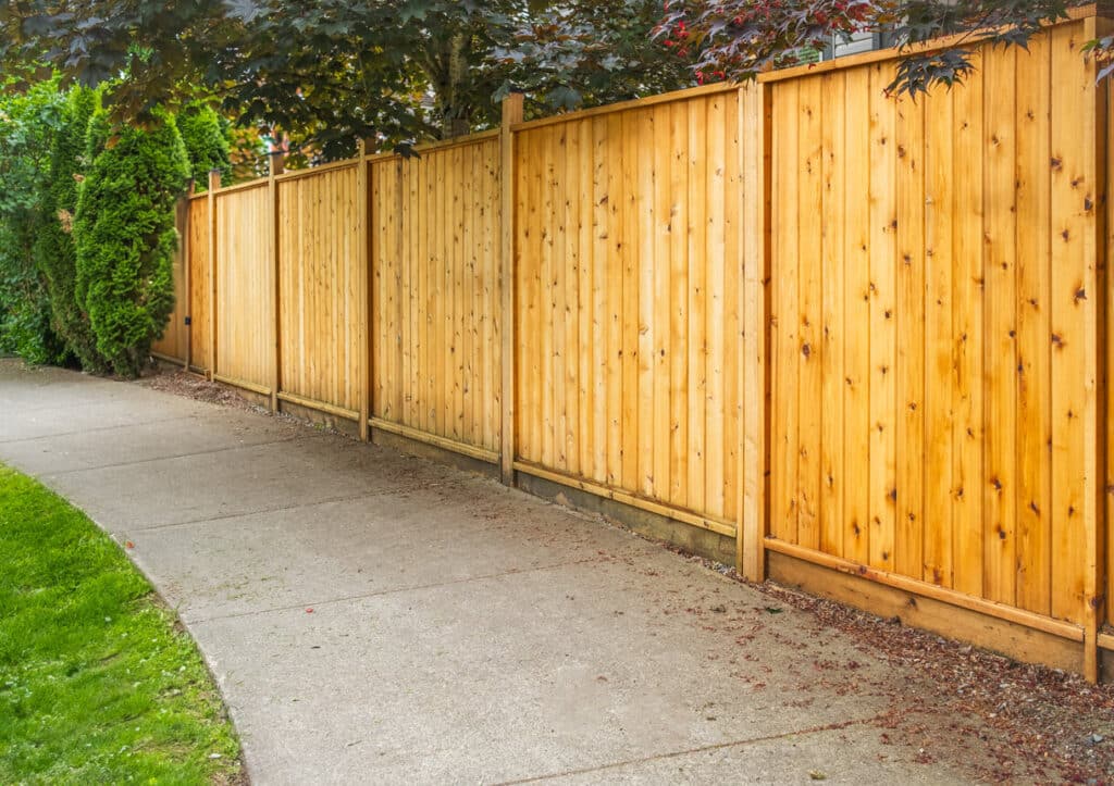 cedar fence